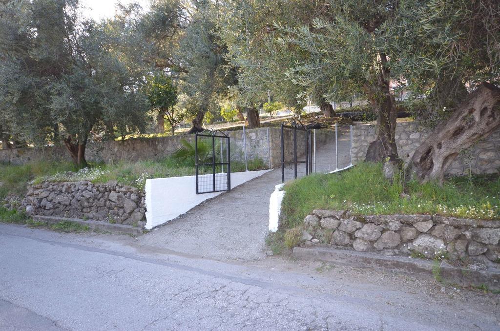 Lisipio Studios By Eleni Palaiokastritsa Exterior foto